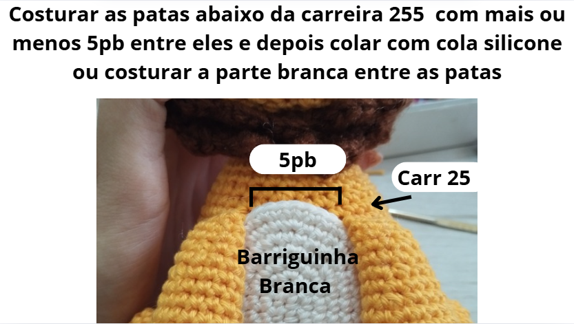 Amigurumi Passo a Passo Leão